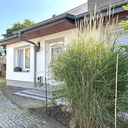 Zeplin, Terrasse, Grill